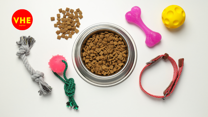 Phụ kiện thú cưng